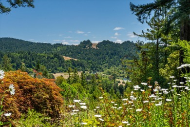 Lake House Magic Madrone- Astonishing Views! Stunner Home Top of Redwoods! HotTubWiFi, , on  in California - Lakehouse Vacation Rental - Lake Home for rent on LakeHouseVacations.com