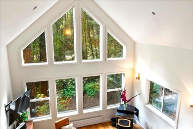 Lake House Wood Chalet Unique Cabin in Redwoods! Peaceful, Modern Vibe! HtTbWiFi, , on  in California - Lakehouse Vacation Rental - Lake Home for rent on LakeHouseVacations.com
