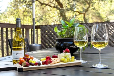 Lake House Guerneville EscapeContemporary & Mystical VibeTop of Redwoods HtTbWIFIPup, , on  in California - Lakehouse Vacation Rental - Lake Home for rent on LakeHouseVacations.com