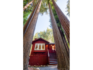 Lake House RedwoodRetreatHappy & Bright Family Redwood Cabin!Walk to River!WIFIACHtTb, , on  in California - Lakehouse Vacation Rental - Lake Home for rent on LakeHouseVacations.com