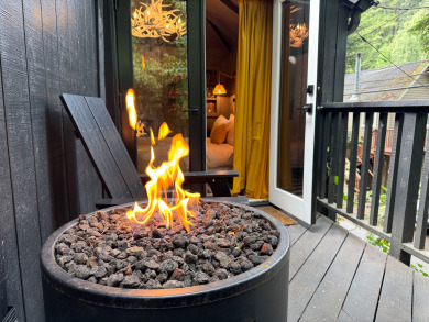 Lake House The Black Nest -Trendy & Charismatic Redwood Retreat! 5 Star! WIFIHotTubPup, , on  in California - Lakehouse Vacation Rental - Lake Home for rent on LakeHouseVacations.com
