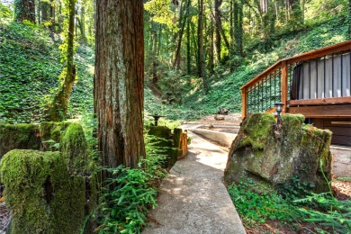 Lake House RedwoodHollow5-Star Rave Reviews!Enchanting Forest Home-Redwoods-HotTubWiFi, , on  in California - Lakehouse Vacation Rental - Lake Home for rent on LakeHouseVacations.com