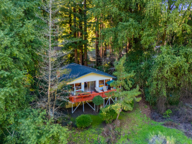 Lake House G's River View!On River Near, Golf Course! Enchanting & Fun and NEW Cabin! , , on  in California - Lakehouse Vacation Rental - Lake Home for rent on LakeHouseVacations.com