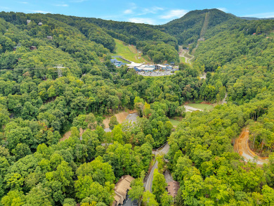 Lake House Perfect 3 Bedroom Condo near Ober Mountain Ski Resort!, , on  in Tennessee - Lakehouse Vacation Rental - Lake Home for rent on LakeHouseVacations.com