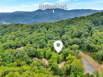 Lake House Perfect 3 Bedroom Condo near Ober Mountain Ski Resort!, , on  in Tennessee - Lakehouse Vacation Rental - Lake Home for rent on LakeHouseVacations.com