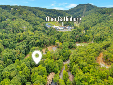 Lake House Perfect 3 Bedroom Condo near Ober Mountain Ski Resort!, , on  in Tennessee - Lakehouse Vacation Rental - Lake Home for rent on LakeHouseVacations.com