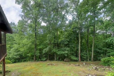 Lake House 3 BR Dollywood Cabin - Hot Tub, Foosball, Air Hockey, Covered Deck! , , on  in Tennessee - Lakehouse Vacation Rental - Lake Home for rent on LakeHouseVacations.com