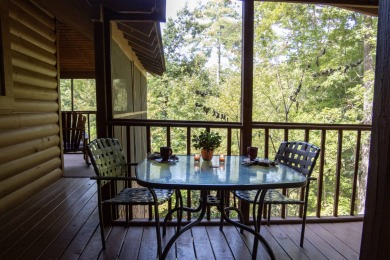 Lake House 3 BR Dollywood Cabin - Hot Tub, Foosball, Air Hockey, Covered Deck! , , on  in Tennessee - Lakehouse Vacation Rental - Lake Home for rent on LakeHouseVacations.com