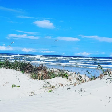 Lake House Dream Chaser- Walk to BEACH & Ocean Breeze! Pool & Pets OK, , on  in Texas - Lakehouse Vacation Rental - Lake Home for rent on LakeHouseVacations.com