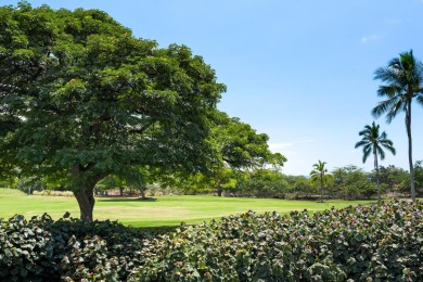 Lake House Holua Kai#15 The 