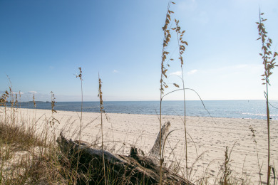 Lake House Coral Cove 155, , on  in Mississippi - Lakehouse Vacation Rental - Lake Home for rent on LakeHouseVacations.com