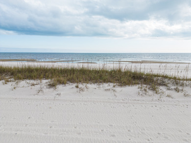 Lake House Coral Cove 155, , on  in Mississippi - Lakehouse Vacation Rental - Lake Home for rent on LakeHouseVacations.com