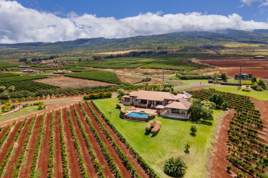 Lake House 4BR Oceanview Estate Infinity Pool + Pickleball Ct., , on  in Hawaii - Lakehouse Vacation Rental - Lake Home for rent on LakeHouseVacations.com