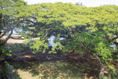 Lake House Sea Turtle Suite - Steps from Carlsmith Beach!, , on  in Hawaii - Lakehouse Vacation Rental - Lake Home for rent on LakeHouseVacations.com