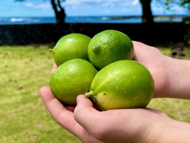 Lake House Barefoot Beach House at Richardson's Beach , , on  in Hawaii - Lakehouse Vacation Rental - Lake Home for rent on LakeHouseVacations.com