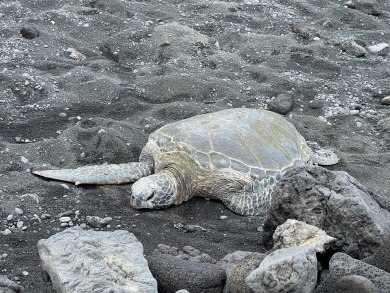 Lake House Barefoot Beach House at Richardson's Beach , , on  in Hawaii - Lakehouse Vacation Rental - Lake Home for rent on LakeHouseVacations.com