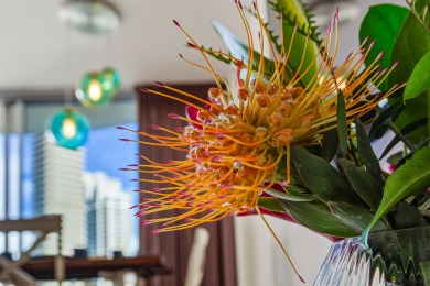 Lake House 12th Floor Waikiki City & Mountain Views! Full Kitchen! Walk to Beach!, , on  in Hawaii - Lakehouse Vacation Rental - Lake Home for rent on LakeHouseVacations.com