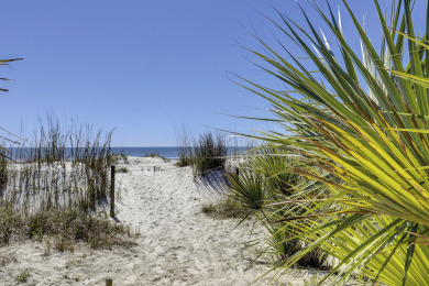 Lake House 4th row North Forest Beach home with private pool &amp large screened-in porch, , on  in South Carolina - Lakehouse Vacation Rental - Lake Home for rent on LakeHouseVacations.com