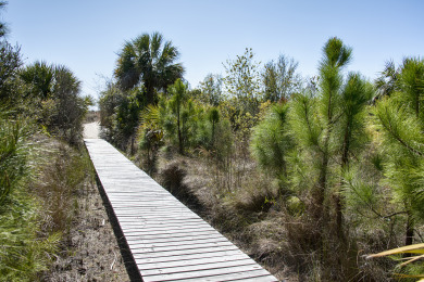 Lake House Oceanfront home on quiet street with tons of space and private pool, , on  in South Carolina - Lakehouse Vacation Rental - Lake Home for rent on LakeHouseVacations.com