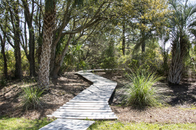 Lake House Oceanfront home on quiet street with tons of space and private pool, , on  in South Carolina - Lakehouse Vacation Rental - Lake Home for rent on LakeHouseVacations.com