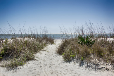 Lake House Oceanfront home on quiet street with tons of space and private pool, , on  in South Carolina - Lakehouse Vacation Rental - Lake Home for rent on LakeHouseVacations.com