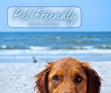 Lake House Heaven's Waterfront Retreat Located in Sneads Ferry , , on  in North Carolina - Lakehouse Vacation Rental - Lake Home for rent on LakeHouseVacations.com