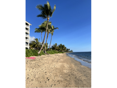 Lake House Beachfront Lahaina Shores 203 Central AC, Direct Oceanfront Studio, , on  in Hawaii - Lakehouse Vacation Rental - Lake Home for rent on LakeHouseVacations.com