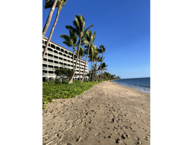 Lake House Beachfront Lahaina Shores 203 Central AC, Direct Oceanfront Studio, , on  in Hawaii - Lakehouse Vacation Rental - Lake Home for rent on LakeHouseVacations.com