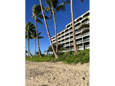 Lake House Beachfront Lahaina Shores 203 Central AC, Direct Oceanfront Studio, , on  in Hawaii - Lakehouse Vacation Rental - Lake Home for rent on LakeHouseVacations.com