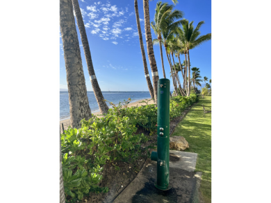 Lake House Beachfront Lahaina Shores 203 Central AC, Direct Oceanfront Studio, , on  in Hawaii - Lakehouse Vacation Rental - Lake Home for rent on LakeHouseVacations.com