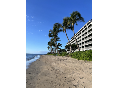 Lake House Beachfront Lahaina Shores 203 Central AC, Direct Oceanfront Studio, , on  in Hawaii - Lakehouse Vacation Rental - Lake Home for rent on LakeHouseVacations.com
