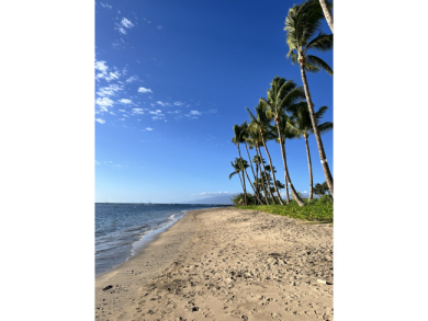 Lake House Beachfront Lahaina Shores 203 Central AC, Direct Oceanfront Studio, , on  in Hawaii - Lakehouse Vacation Rental - Lake Home for rent on LakeHouseVacations.com