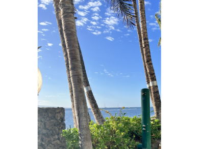 Lake House Beachfront Lahaina Shores 203 Central AC, Direct Oceanfront Studio, , on  in Hawaii - Lakehouse Vacation Rental - Lake Home for rent on LakeHouseVacations.com