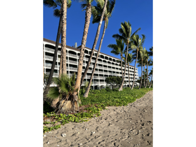 Lake House Beachfront Lahaina Shores 203 Central AC, Direct Oceanfront Studio, , on  in Hawaii - Lakehouse Vacation Rental - Lake Home for rent on LakeHouseVacations.com