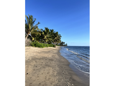 Lake House Beachfront Lahaina Shores 203 Central AC, Direct Oceanfront Studio, , on  in Hawaii - Lakehouse Vacation Rental - Lake Home for rent on LakeHouseVacations.com