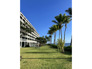 Lake House Beachfront Lahaina Shores 203 Central AC, Direct Oceanfront Studio, , on  in Hawaii - Lakehouse Vacation Rental - Lake Home for rent on LakeHouseVacations.com