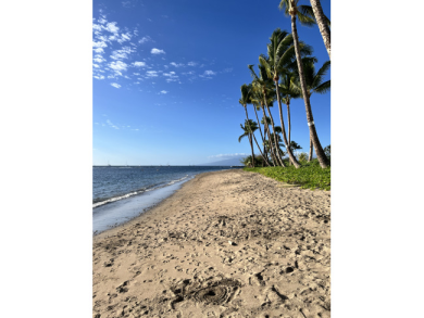 Lake House Beachfront Lahaina Shores 203 Central AC, Direct Oceanfront Studio, , on  in Hawaii - Lakehouse Vacation Rental - Lake Home for rent on LakeHouseVacations.com