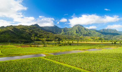 Lake House Malapua Hanalei - A Sweet Retreat TVNC#1352, , on  in Hawaii - Lakehouse Vacation Rental - Lake Home for rent on LakeHouseVacations.com