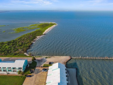 Lake House Pier Perfection-K101 Waterfront luxury living, Pool, Pier, Beach and Launch, , on  in Texas - Lakehouse Vacation Rental - Lake Home for rent on LakeHouseVacations.com