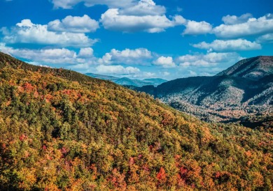 Lake House A Luxe Mountain Escape with a Private Indoor Pool &amp RelaxingViews, , on  in Tennessee - Lakehouse Vacation Rental - Lake Home for rent on LakeHouseVacations.com