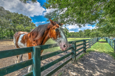 Lake House 1690 Bluff Villas 3 Bds, Next to South Beach Marina, Free Bikes, , on  in South Carolina - Lakehouse Vacation Rental - Lake Home for rent on LakeHouseVacations.com