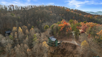 Lake House New Construction - Modern Luxury Cabin with Movie Theater, Arcade &amp Hot Tub, , on  in Tennessee - Lakehouse Vacation Rental - Lake Home for rent on LakeHouseVacations.com
