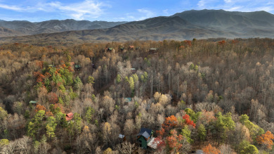 Lake House New Construction - Modern Luxury Cabin with Movie Theater, Arcade &amp Hot Tub, , on  in Tennessee - Lakehouse Vacation Rental - Lake Home for rent on LakeHouseVacations.com