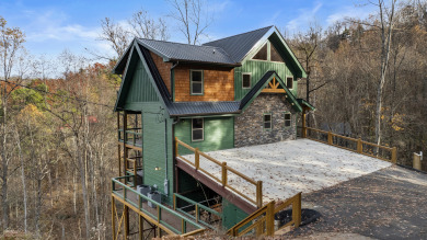 Lake House New Construction - Modern Luxury Cabin with Movie Theater, Arcade &amp Hot Tub, , on  in Tennessee - Lakehouse Vacation Rental - Lake Home for rent on LakeHouseVacations.com