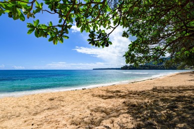 Lake House Oceanview Retreat in Ha ena, Steps to Beach, AC. TVNC #4206, , on  in Hawaii - Lakehouse Vacation Rental - Lake Home for rent on LakeHouseVacations.com