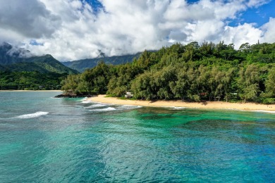 Lake House Oceanview Retreat in Ha ena, Steps to Beach, AC. TVNC #4206, , on  in Hawaii - Lakehouse Vacation Rental - Lake Home for rent on LakeHouseVacations.com