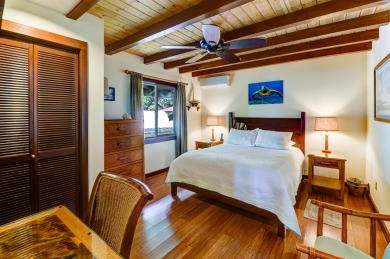 Lake House Oceanview Retreat in Ha ena, Steps to Beach, AC. TVNC #4206, , on  in Hawaii - Lakehouse Vacation Rental - Lake Home for rent on LakeHouseVacations.com