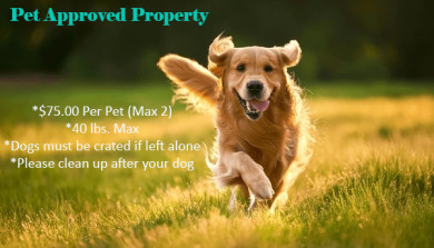 Lake House Downtown CabinPrivate PoolHot TubGame Room, , on  in Tennessee - Lakehouse Vacation Rental - Lake Home for rent on LakeHouseVacations.com