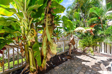 Lake House Alii Cove EE3 Beautiful Ground Floor Spacious 2 Bedroom with AC , , on  in Hawaii - Lakehouse Vacation Rental - Lake Home for rent on LakeHouseVacations.com