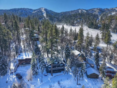 Lake House Chalet Steps to Bear Mountain, Hot Tub, King, Mountain Views, Fire Pit, AC, , on  in California - Lakehouse Vacation Rental - Lake Home for rent on LakeHouseVacations.com